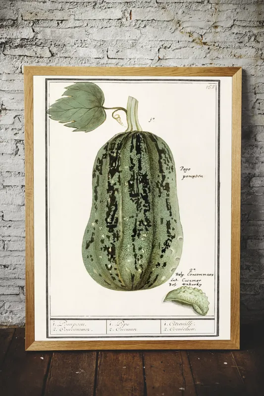 Постер «Овощи - Тыква обыкновенная Pompoen» над диваном в гостиной