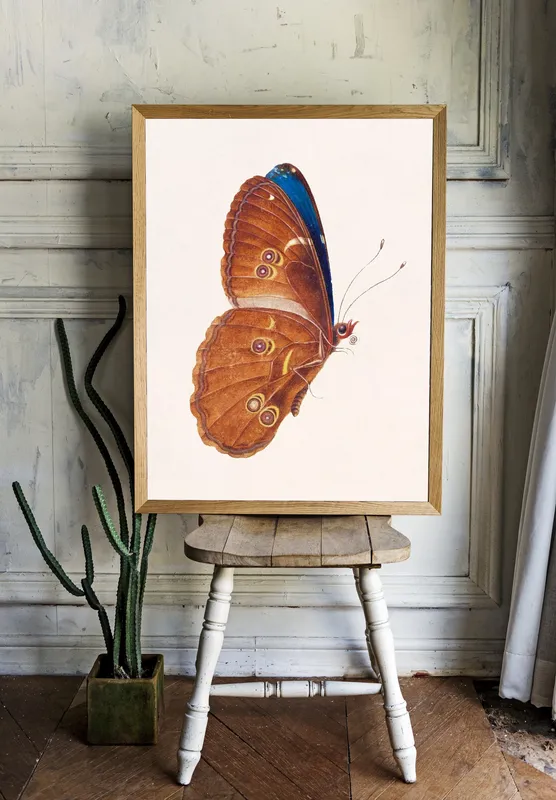Постер «Винтажная коричневая бабочка» над диваном в гостиной