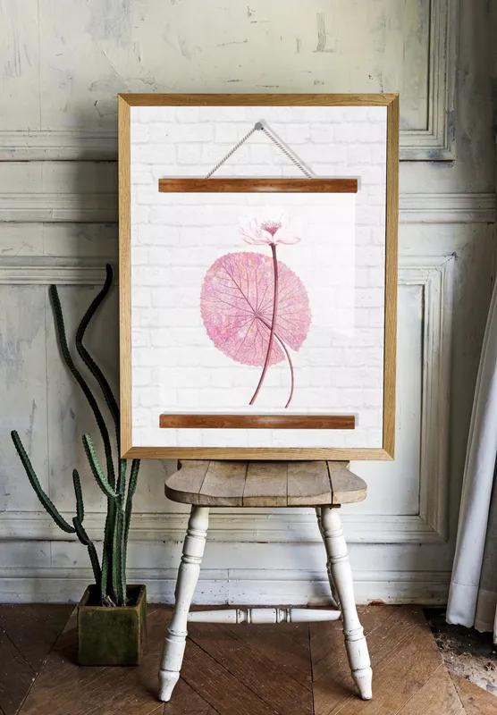 Постер «Прозрачный постер - Цветок лотоса с листом» над диваном в гостиной