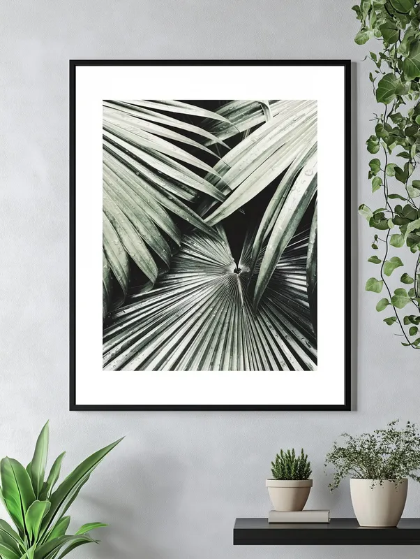 Постер «Крупный План - Листья Ливистоны» на стене в офисе