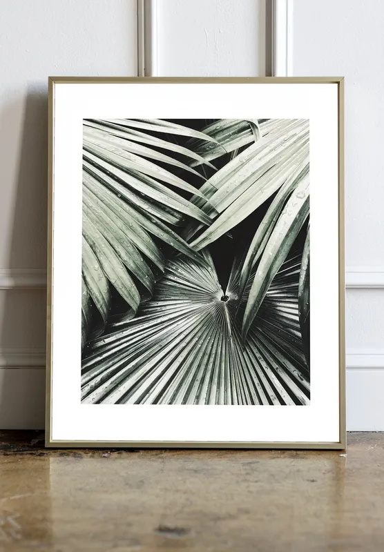 Постер «Крупный План - Листья Ливистоны» над диваном в гостиной