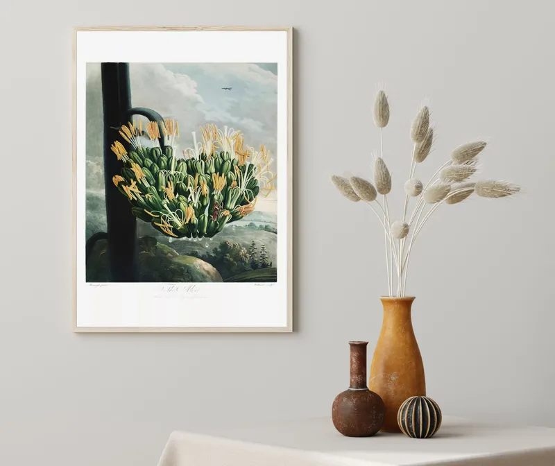 Постер «Цветок алоэ» на стене в офисе