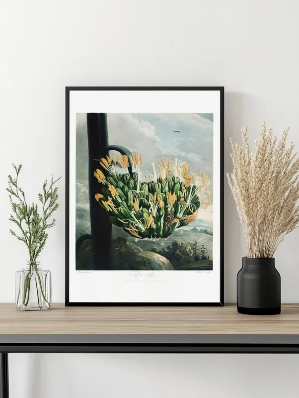 Постер «Цветок алоэ» над диваном в гостиной