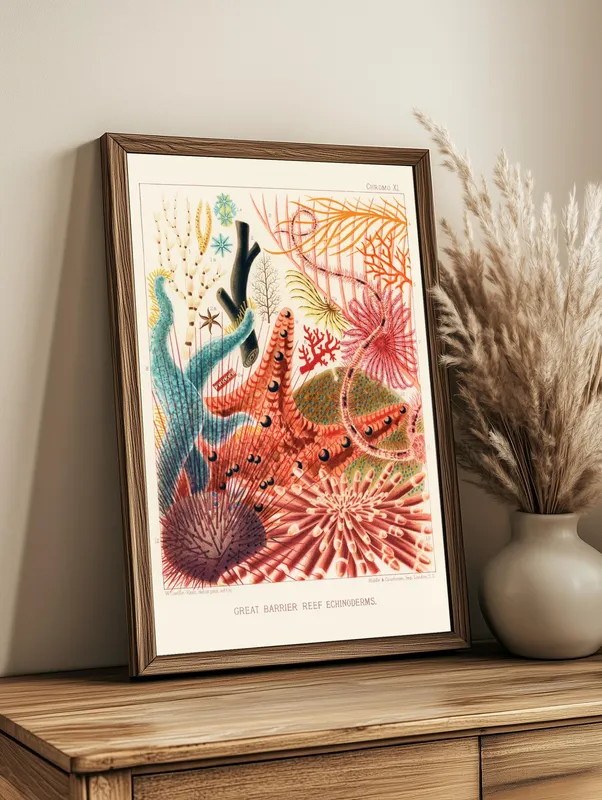 Постер «Иглокожие животные Большого Барьерного рифа» на стене в офисе