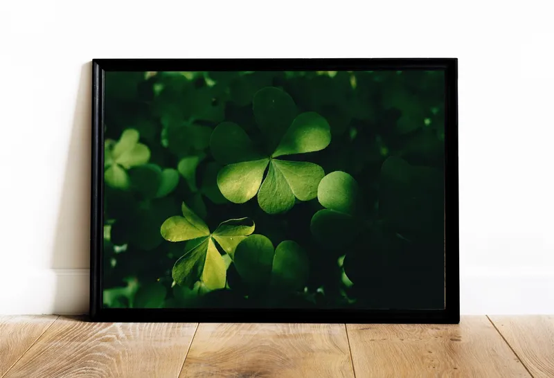 Постер «Яркий клевер» на стене в офисе