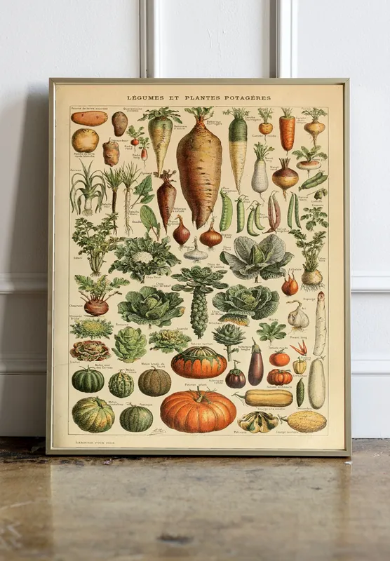 Постер «Овощные культуры» на стене в офисе