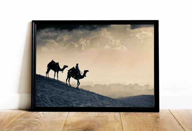 Постер «Постеры Верблюды в пустыне» на стене в офисе