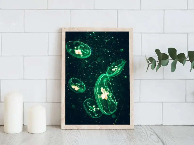 Постер «Медузы в зеленом цвете» над диваном в гостиной