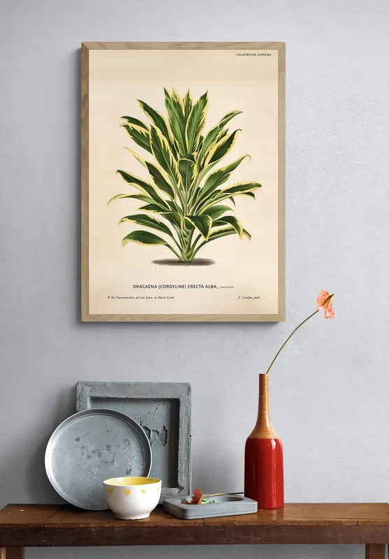 Постер «Кустик драцены» на стене в офисе