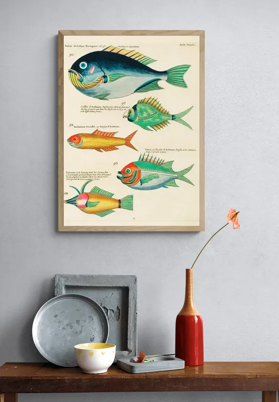 Постер «Рыбы - Разновидность морских рыб» над диваном в гостиной