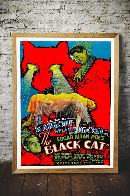 Постер «Черный кот 1934» на стене в офисе