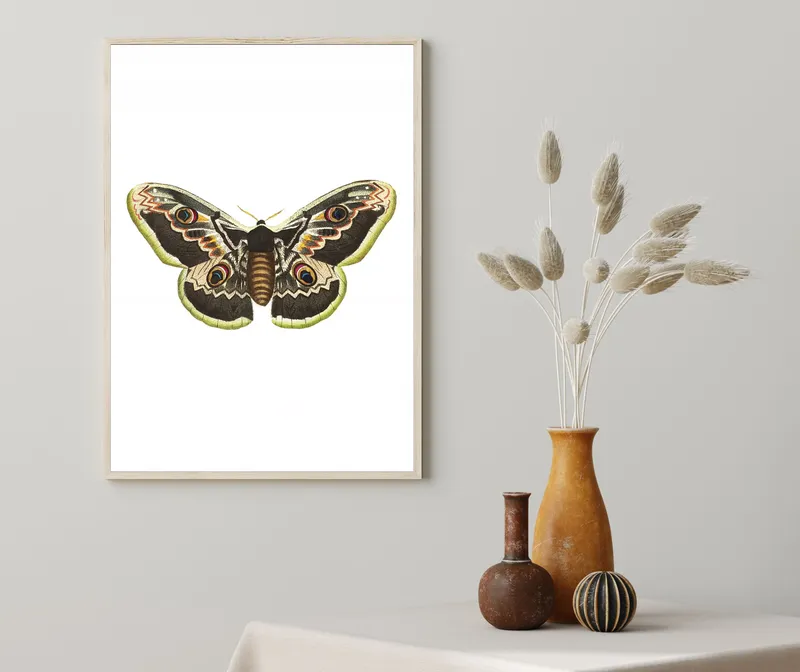 Постер «Бабочка Павлин» на стене в офисе