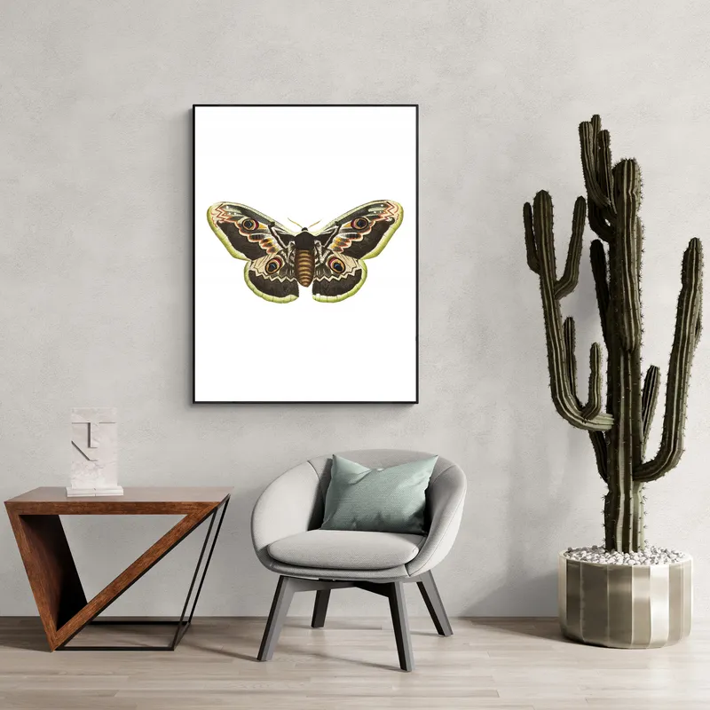 Постер «Бабочка Павлин» над диваном в гостиной