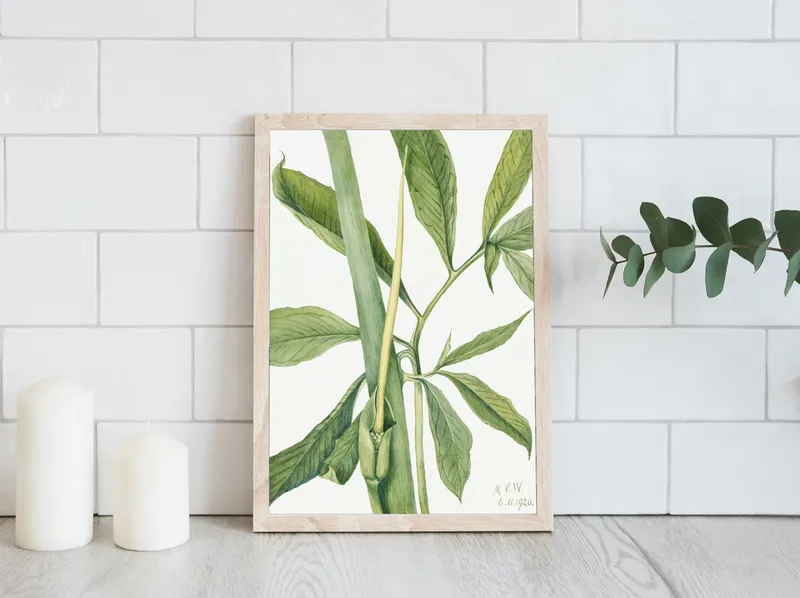 Постер «Листья - Зеленый дракон» на стене в офисе