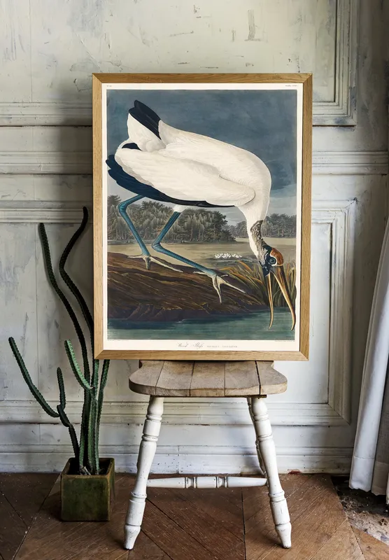 Постер «Древесный аист» на стене в офисе