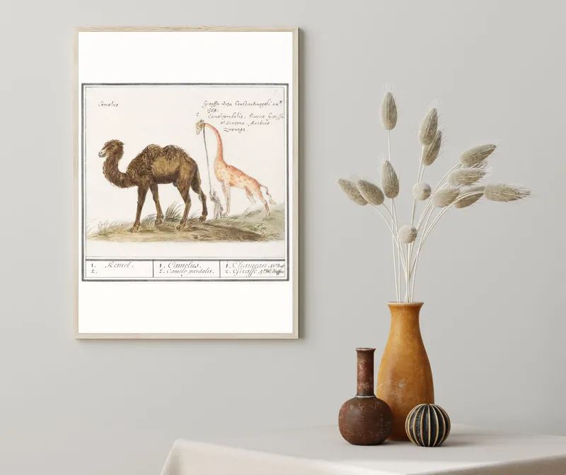 Постер «Верблюд и жираф» на стене в офисе