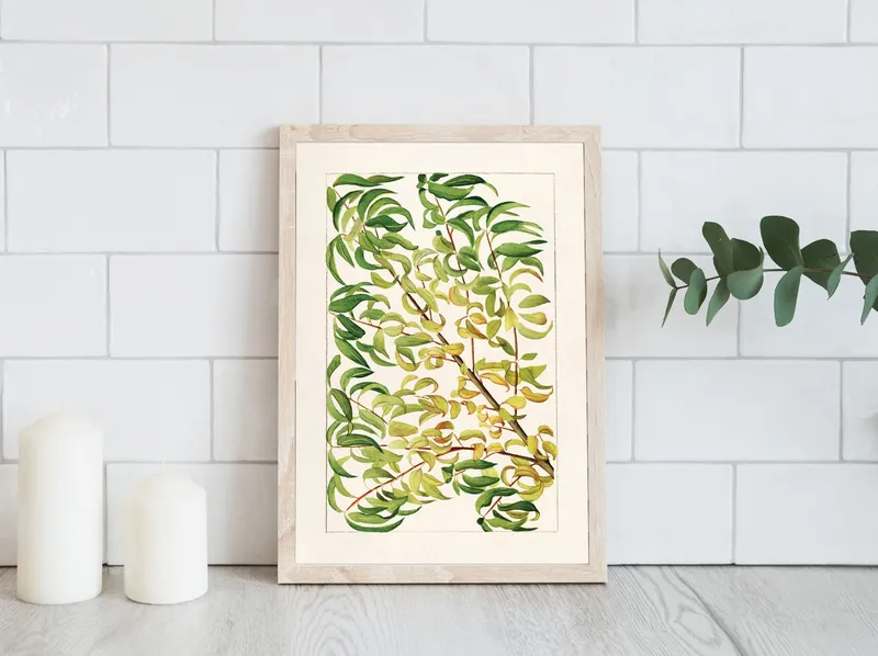 Постер «Листья - Ветвь персика» на стене в офисе