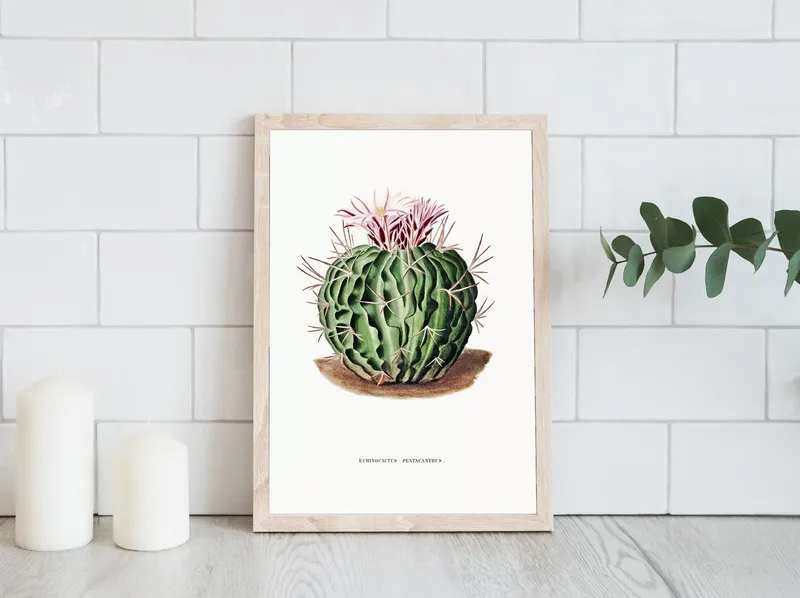 Постер «Кактус Pentacanthus» над диваном в гостиной