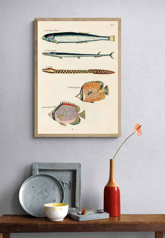 Постер «Рыбы - Рыбы-хищники» на стене в офисе