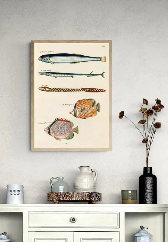 Постер «Рыбы - Рыбы-хищники» над диваном в гостиной