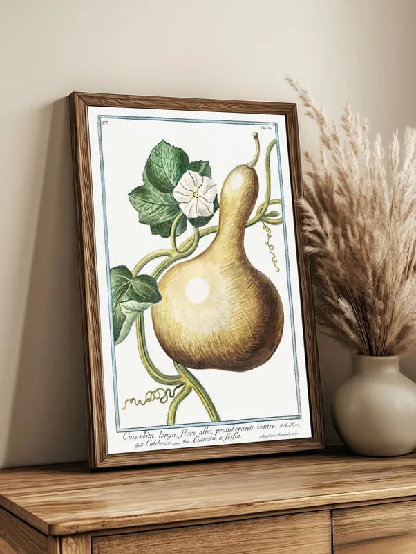 Постер «Овощи - Тыква длинная Cucurbita Longa» над диваном в гостиной