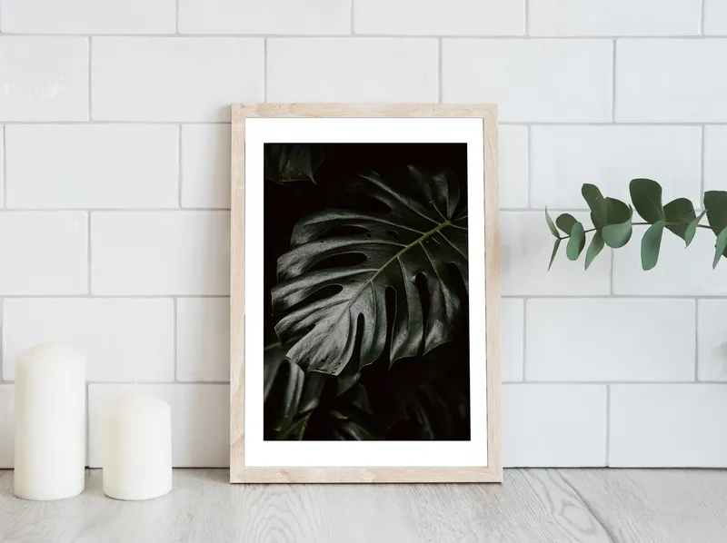 Постер «Крупная Монстера» на стене в офисе