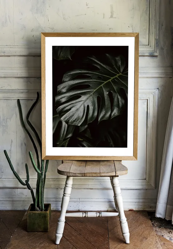 Постер «Крупная Монстера» над диваном в гостиной