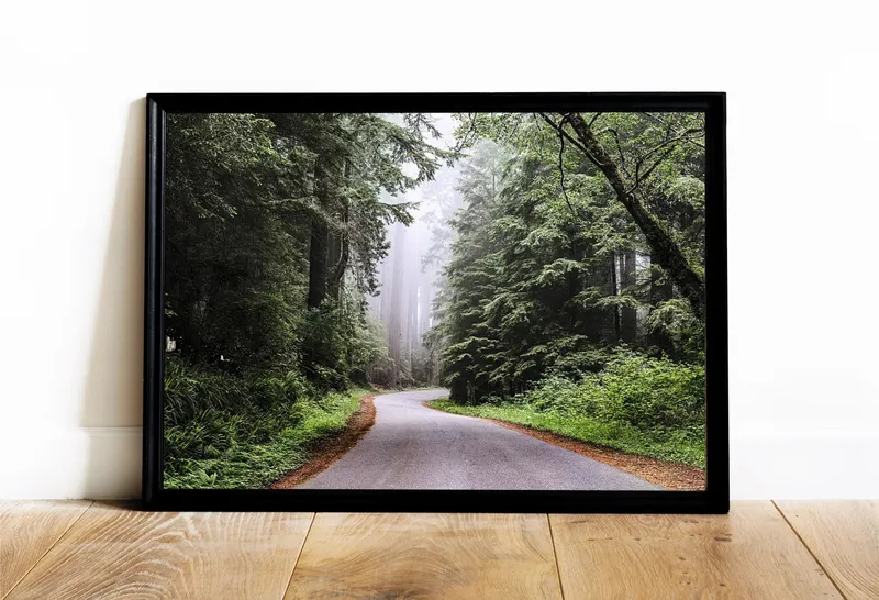 Постер «Национальный парк Редвуд - Калифорния» над диваном в гостиной