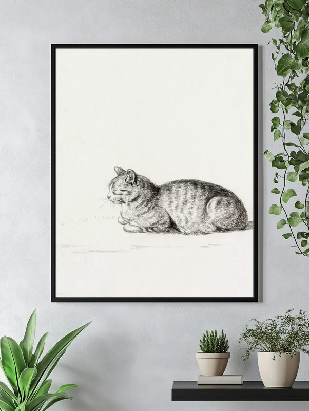 Постер «Кошки - Спящая кошка» на стене в офисе