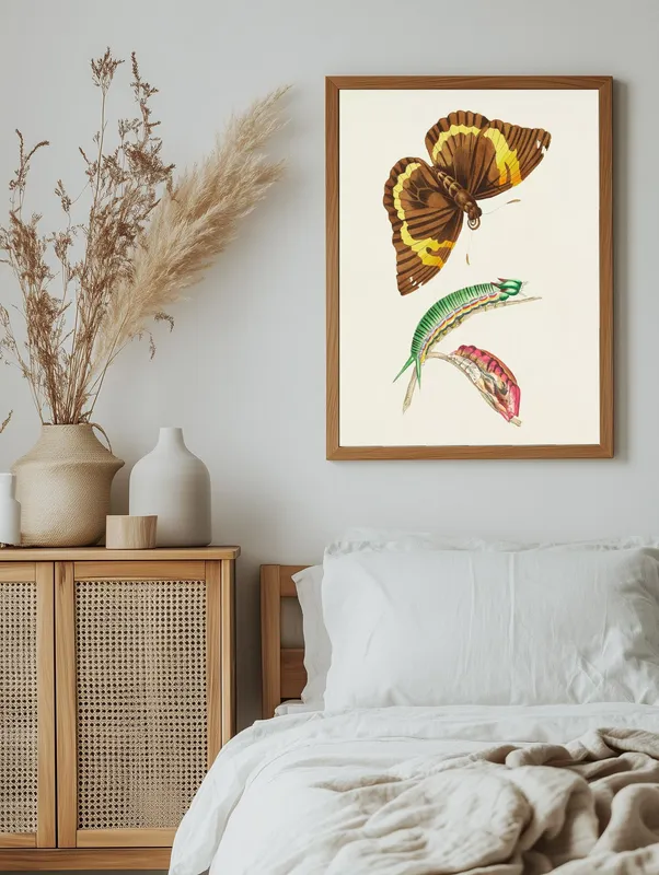 Постер «Бабочки - Коричнево-желтая бабочка и зеленая гусеница» на стене в офисе