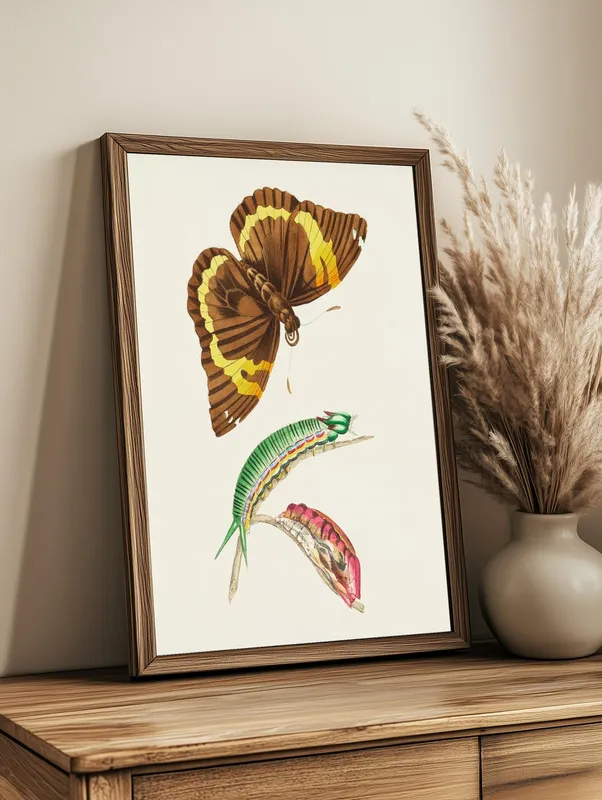 Постер «Бабочки - Коричнево-желтая бабочка и зеленая гусеница» над диваном в гостиной