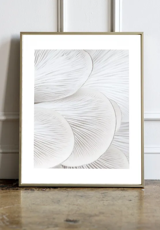 Постер «Крупный План - Устрицы» над диваном в гостиной