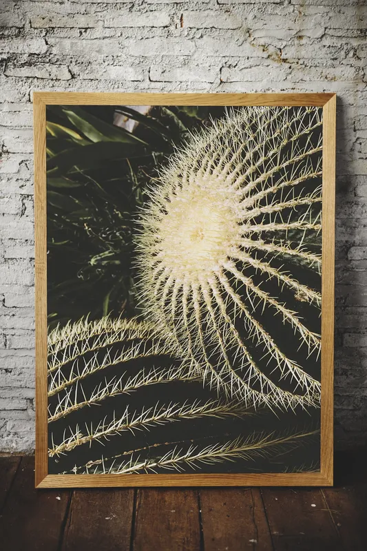 Постер «Колючий кактус» на стене в офисе