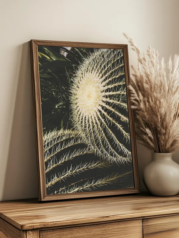 Постер «Колючий кактус» над диваном в гостиной
