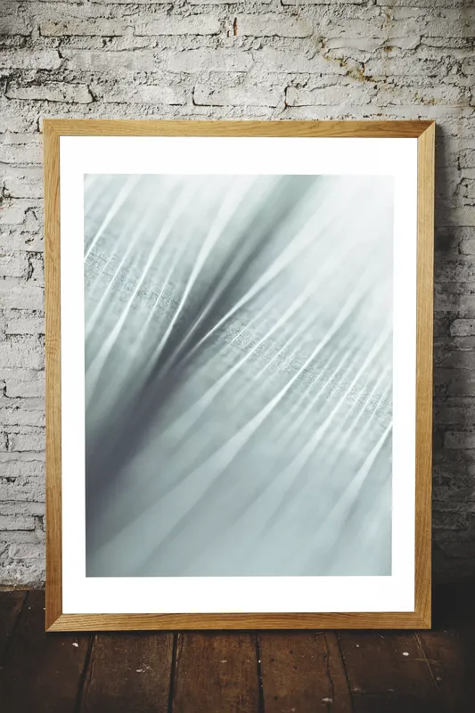 Постер «Крупный План - Осока» над диваном в гостиной