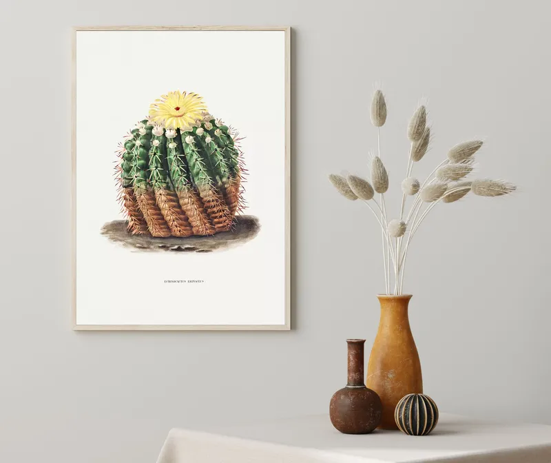 Постер «Цветущий кактус» на стене в офисе