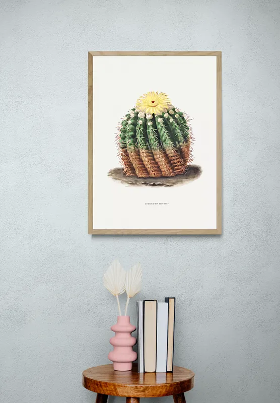 Постер «Цветущий кактус» над диваном в гостиной