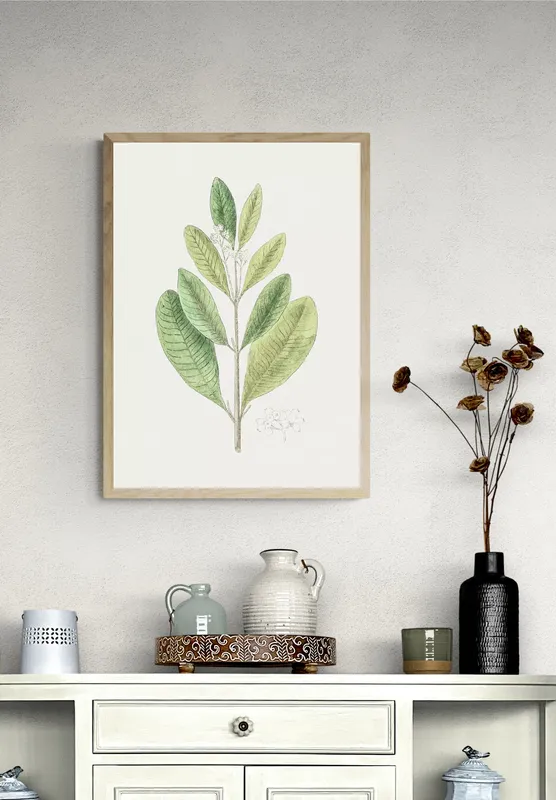 Постер «Листья - Листья душистого перца» на стене в офисе