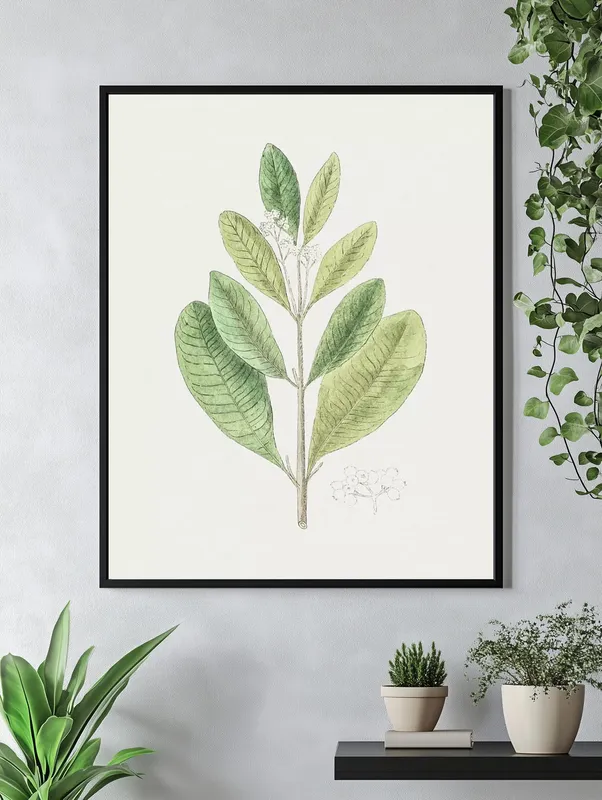 Постер «Листья - Листья душистого перца» над диваном в гостиной