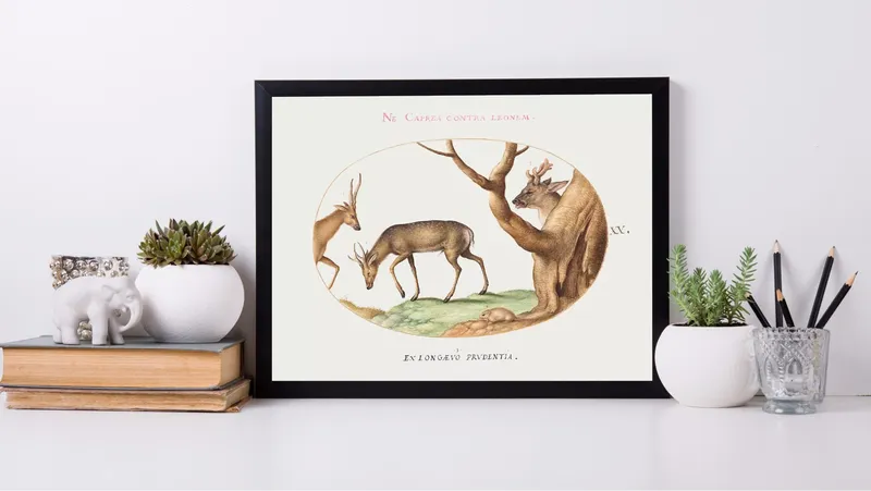 Постер «Три вида оленей» на стене в офисе