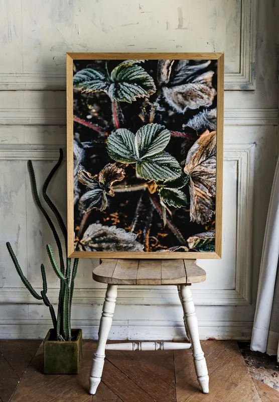 Постер «Листья в снегу» на стене в офисе