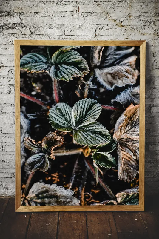 Постер «Листья в снегу» над диваном в гостиной