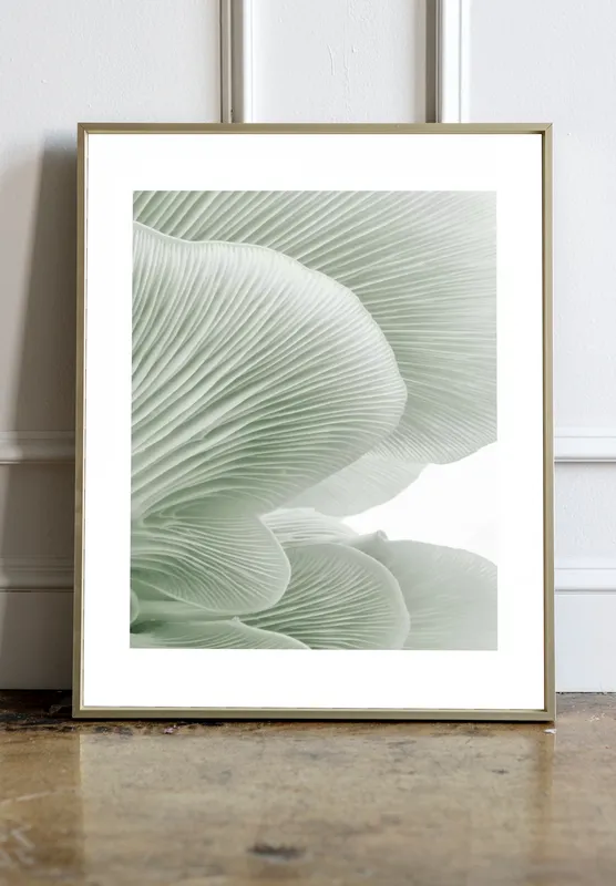 Постер «Крупный План - Зеленая Устрица» над диваном в гостиной