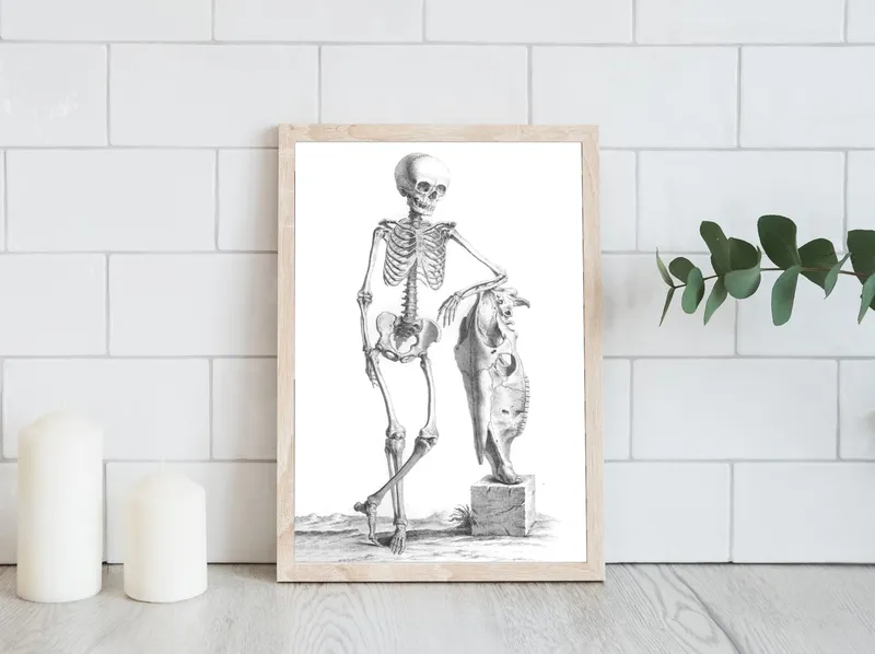 Постер «Скелет в Музее» на стене в офисе