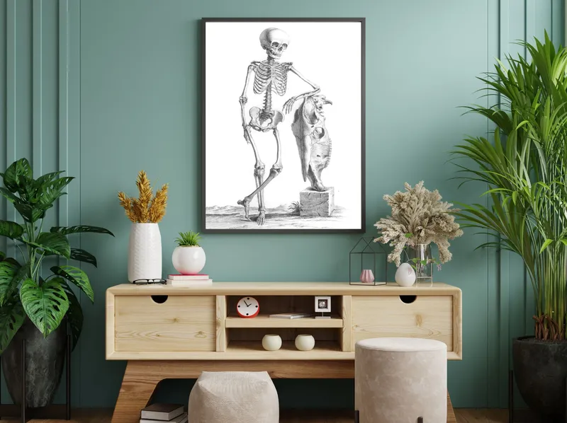 Постер «Скелет в Музее» над диваном в гостиной