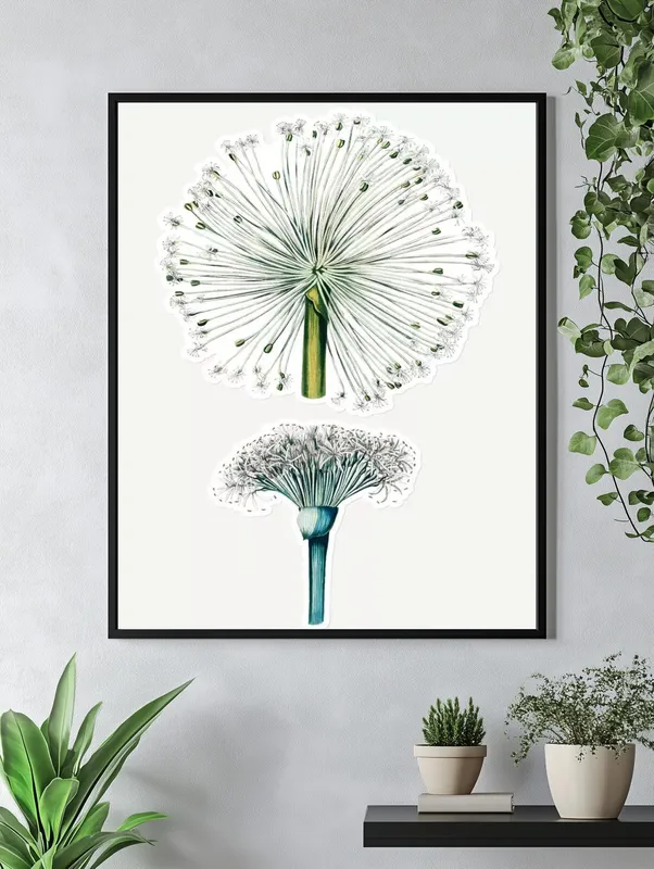 Постер «Одуванчик - Гемантус» на стене в офисе