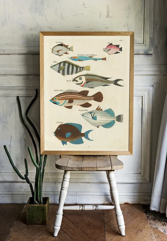 Постер «Рыбы - Морские рыбы» на стене в офисе