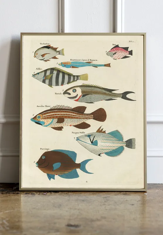 Постер «Рыбы - Морские рыбы» над диваном в гостиной