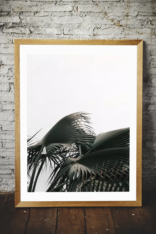 Постер «Ветвь пальмы» на стене в офисе