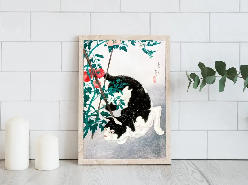 Постер «Кошка с томатами» на стене в офисе